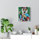 Rocking Panda - The HAYZE Brand