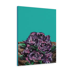 We the Roses - The HAYZE Brand