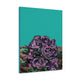 We the Roses - The HAYZE Brand